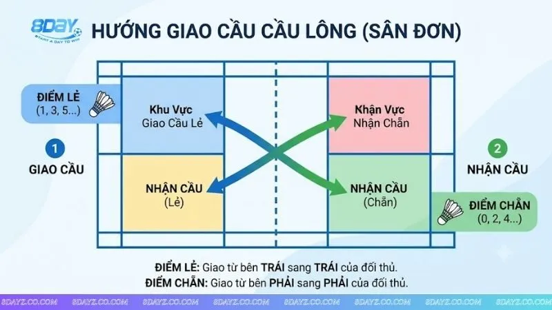 Sơ đồ minh họa trực quan quy tắc chẵn phải lẻ trái theo luật chẵn lẻ trong cầu lông cho người mới bắt đầu.